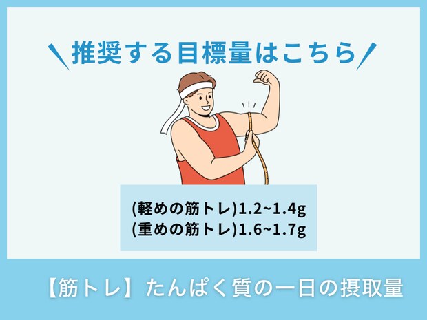 【筋トレ】たんぱく質の一日の摂取量