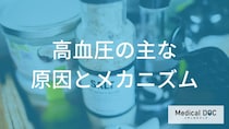 「何」で『高血圧』になるの？ 発症メカニズムと種類別の原因【医師解説】