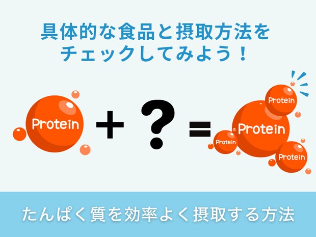 たんぱく質の効率的な摂取方法