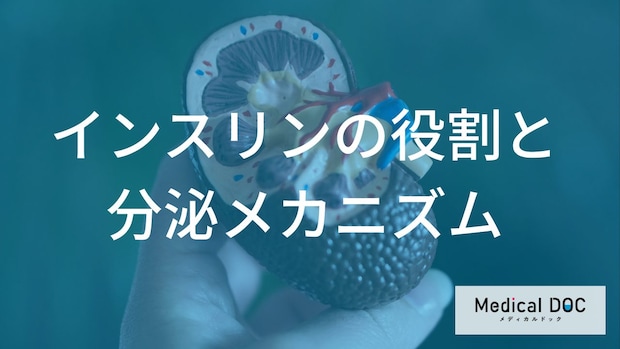 なぜ血糖値は上がってしまうのか？ 「糖尿病」の鍵を握るインスリンの役割と2つの病態を医師が解説
