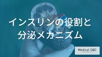 なぜ血糖値は上がってしまうのか？ 「糖尿病」の鍵を握るインスリンの役割と2つの病態を医師が解説