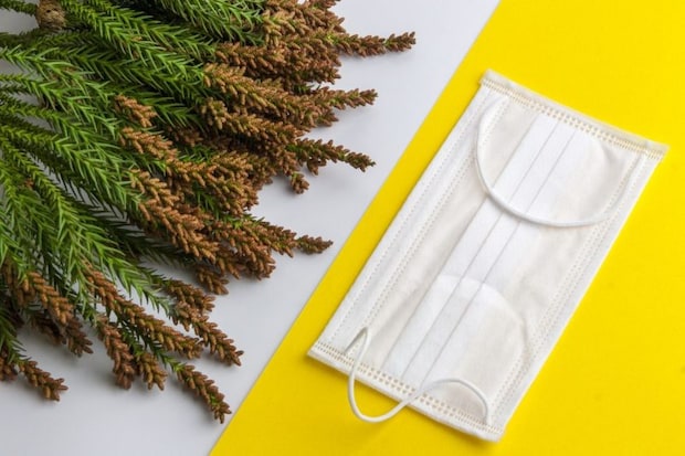 杉の花とマスク