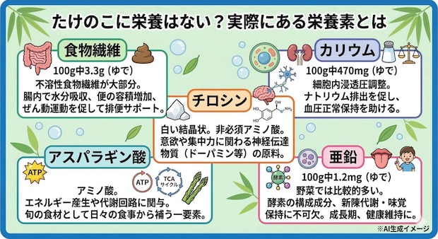 たけのこに含まれる栄養素