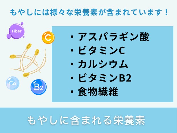 もやしに含まれる栄養素