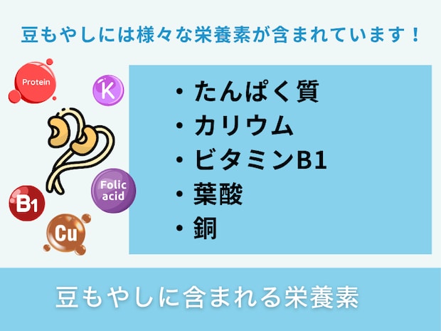 豆もやしに含まれる栄養素