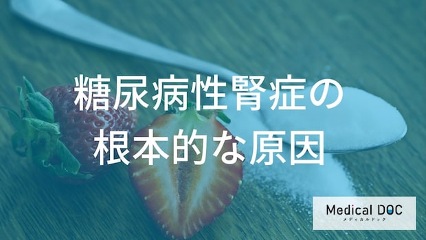 発症から10年が分かれ道？糖尿病が腎臓を壊す「2つの原因」とリスクの真実