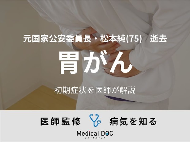 【訃報】松本純・元国家公安委員長 『胃がん』の初期症状を医師が解説