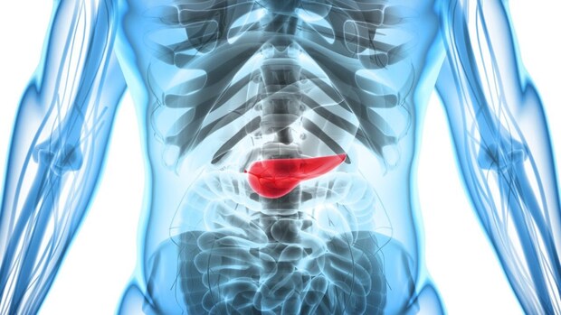 気付かれにくい『膵臓がん』の初期症状! 見逃せないサインについて専門医が解説