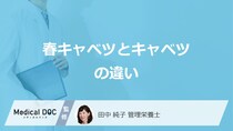 「春キャベツとキャベツの違い」は何？美味しい春キャベツの見分け方も管理栄養士が解説！