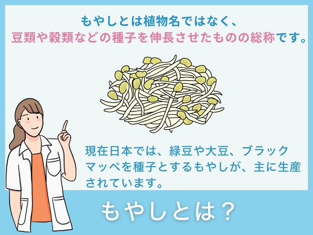 「もやし」とは?