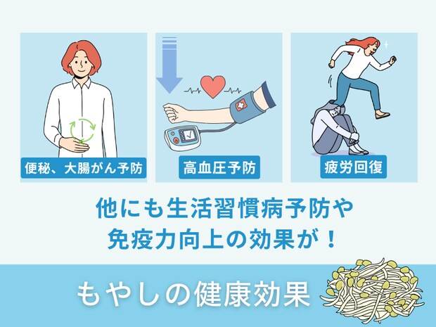 もやしの健康効果