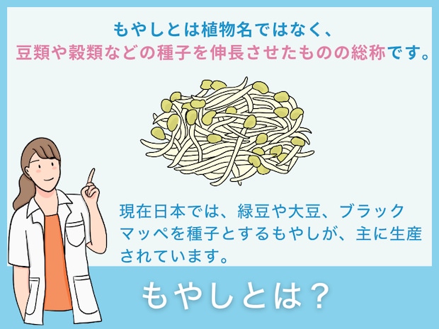「もやし」とは？