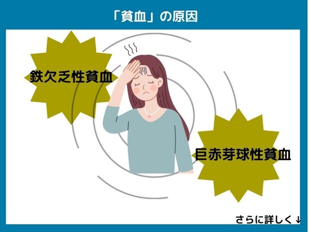 貧血の原因
