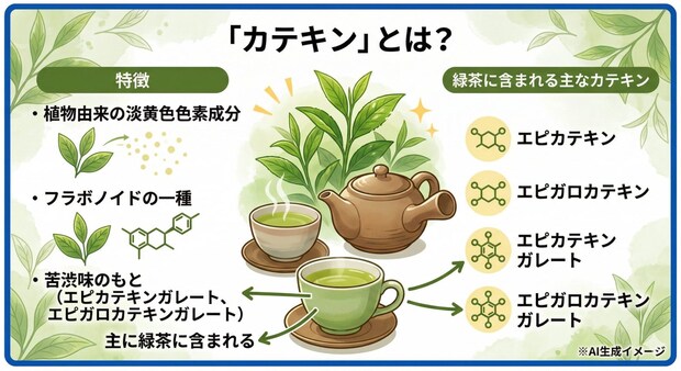 カテキンとは?