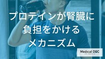 「プロテイン」の飲み過ぎると”腎臓”はどうなる？体重1kgあたり何gまでかも解説！