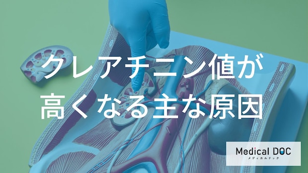 腎臓疾患だけじゃない―「クレアチニン値」が高いとき体で起こっていること