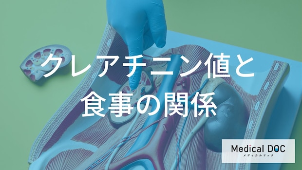健康診断でクレアチニンが高かったら？　今日から始める「腎臓に優しい食事」