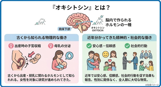 「オキシトシン」とは？