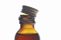 【新発見】タウリンにアンチエイジング効果の可能性 動物実験で老化防止を確認