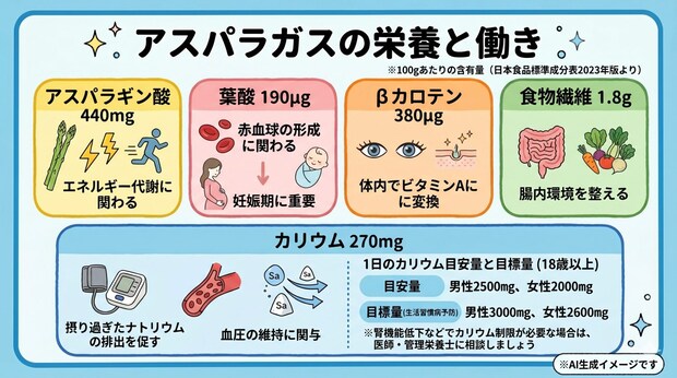 アスパラガスに含まれる栄養素