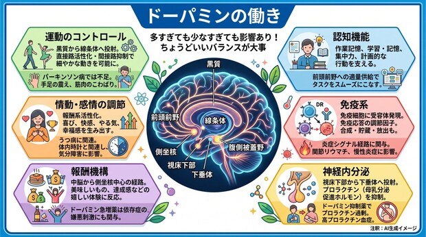 ドーパミンの働き