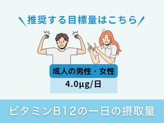 ビタミンB12の一日の摂取量