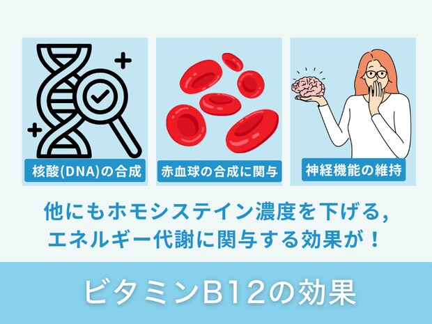 ビタミンB12の効果