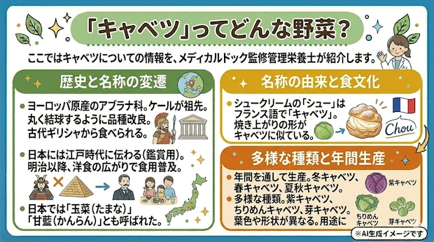 キャベツとは?