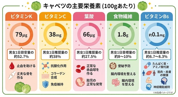 キャベツに含まれる栄養素