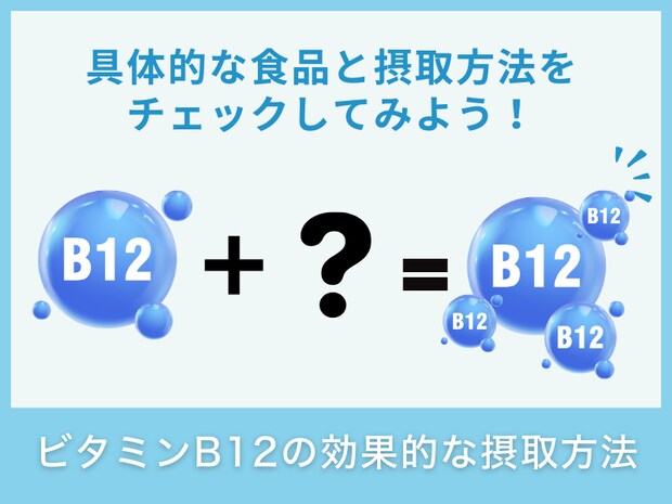 ビタミンB12の効率的な摂取方法