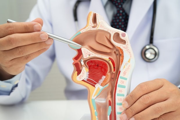 花粉症で頭痛やだるさが起こる原因