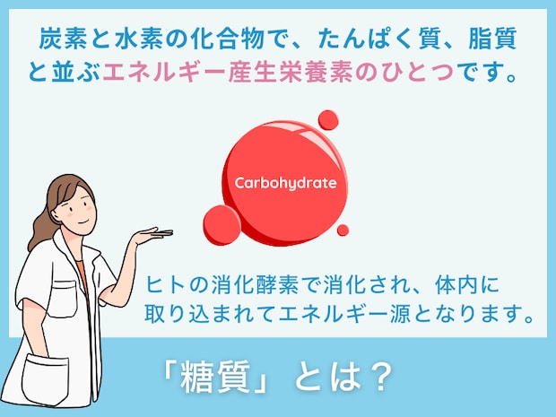 糖質とは？