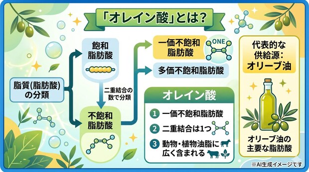 「オレイン酸」とは?
