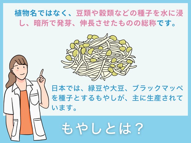 「もやし」とは?
