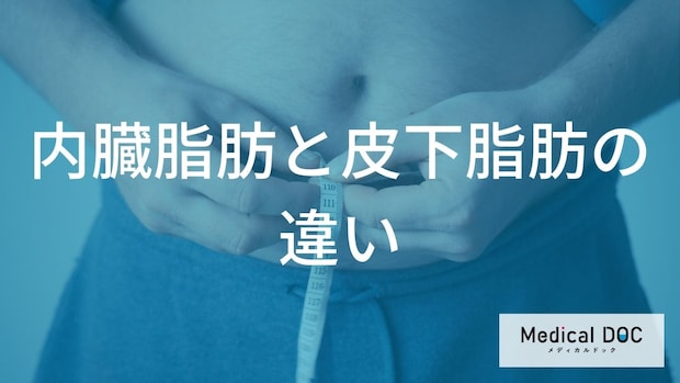 【新事実】つまめる皮下脂肪より危険?内臓脂肪との「2つの違い」と知られざる健康リスク