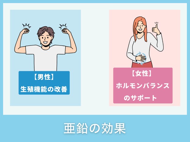 亜鉛の効果