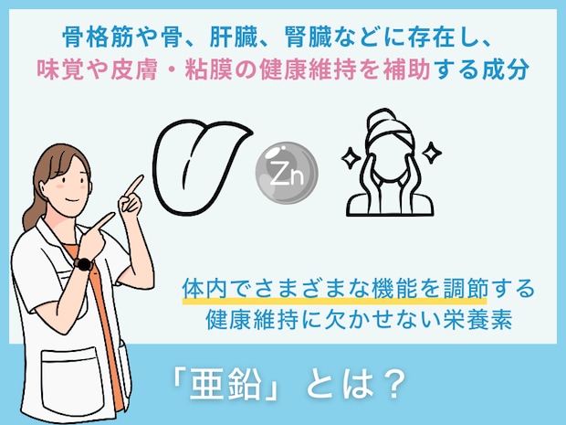 「亜鉛」とは？