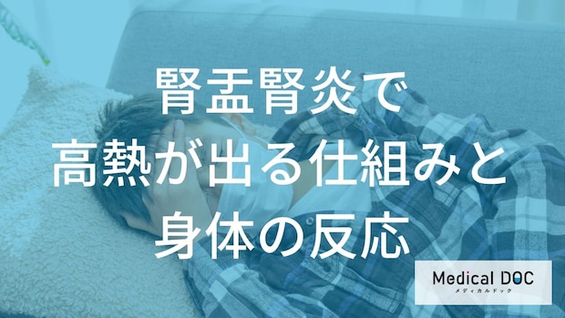 「腎盂腎炎」の高熱は“何”のサイン？ 解熱剤に頼る前に知るべき【体の反応】