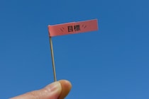 【闘病】まさか自分が全身性エリテマトーデスに 思えば高校生の頃から皮膚症状が…