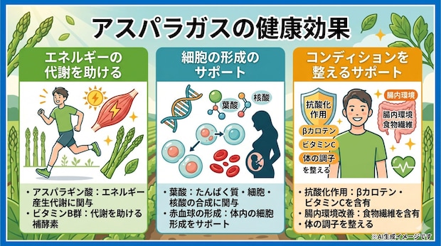 アスパラガスの健康効果
