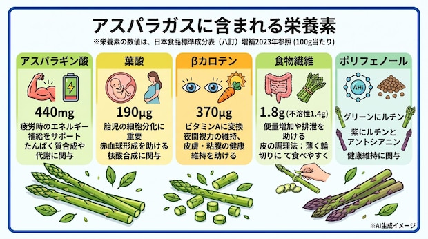 アスパラガスに含まれる栄養素