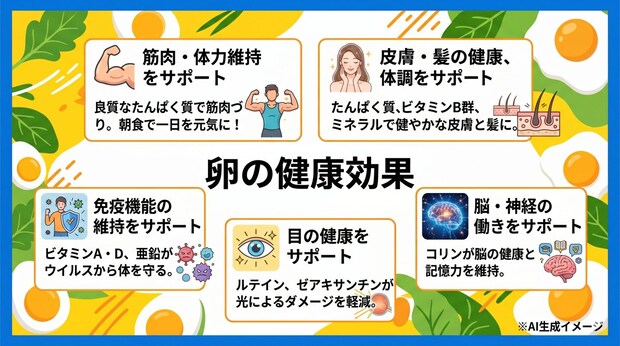 卵の健康効果