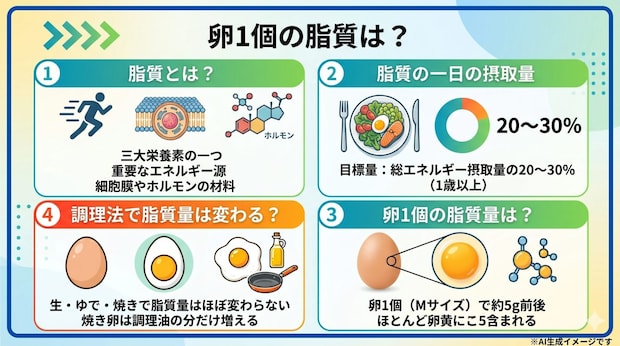 卵1個の脂質は？