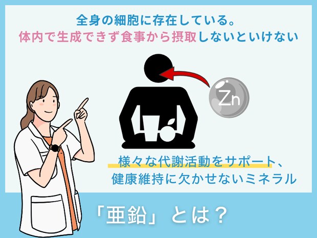 「亜鉛」とは？