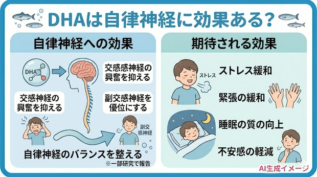 DHAは自律神経に効果ある?