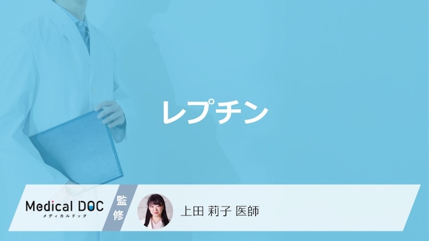 太るほど効かない？瘦せホルモン『レプチン』をご存知ですか？医師が3つの働きを解説