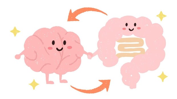 「腸」と「脳」の意外なつながりをご存じですか? 『セロトニン』にも関係が【医師解説】