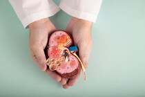 【糖尿病性腎症】悪化の原因となるタンパク質を発⾒ 末期腎不全の発症リスク評価や治療に新たな道