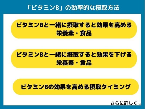 ビタミンBの効率的な摂取方法