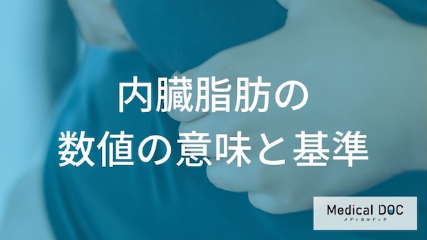 【警告】男性85cm・女性90cm以上は要注意！放置NGな内臓脂肪リスクと2つの基準